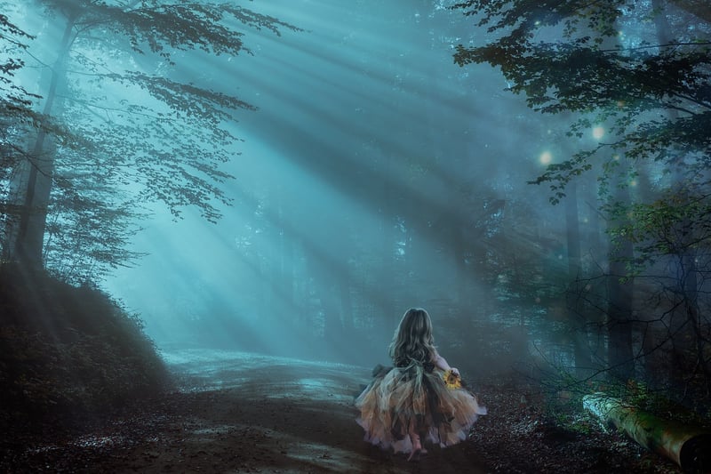 Mystery Forest
